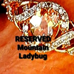 RESERVED: Mountain Ladybug
